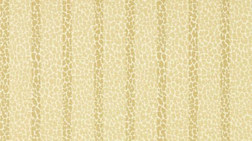 Lacuna Stripe 113070